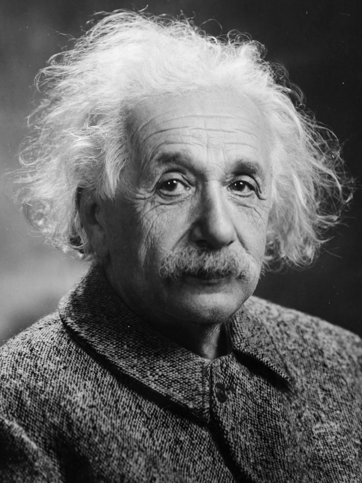 Einstein head portrait
