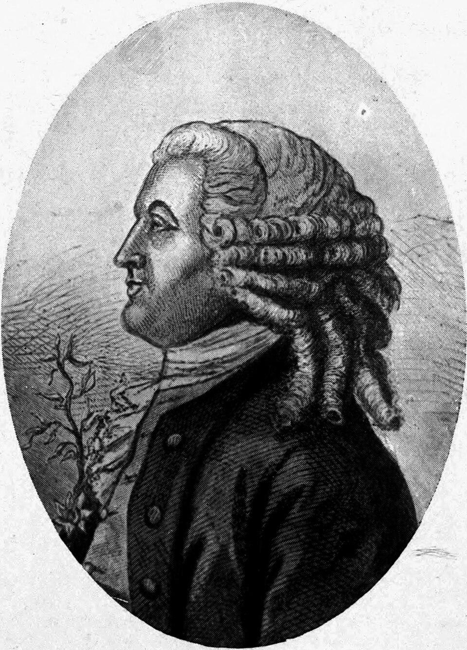 Biographies of Scientific Men 093 Linnaeus