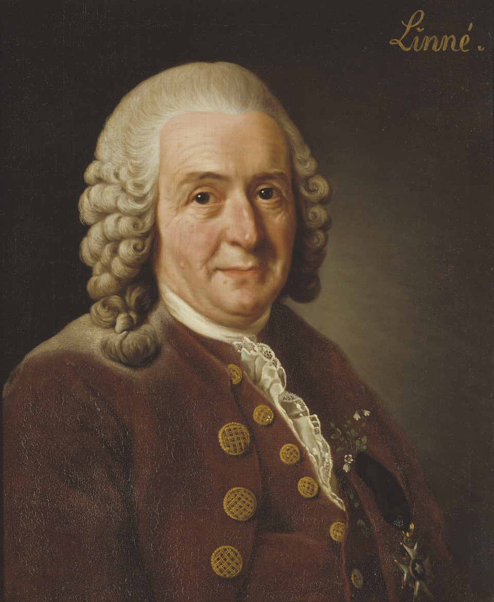 Carl von Linn&eacute;