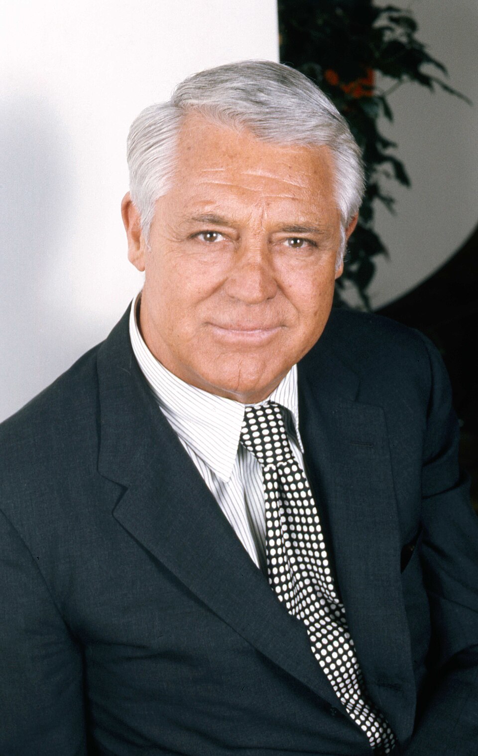 Cary Grant 33 Allan Warren
