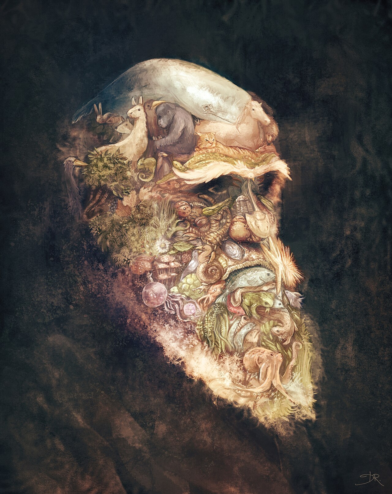 2012-11-16 Portrait-of-Charles-Darwin by-David-Revoy