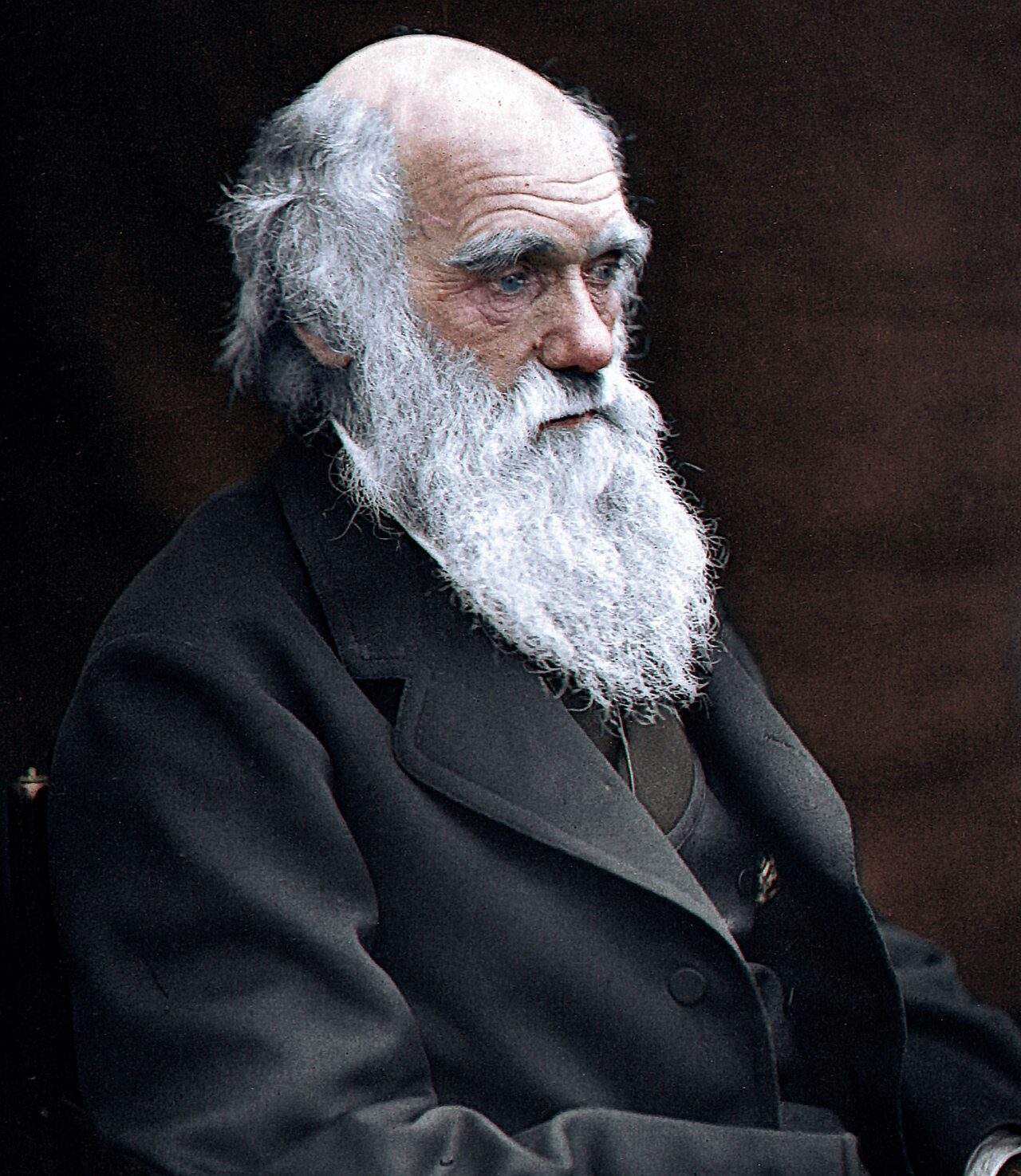 Charles Darwin, English naturlist, colored