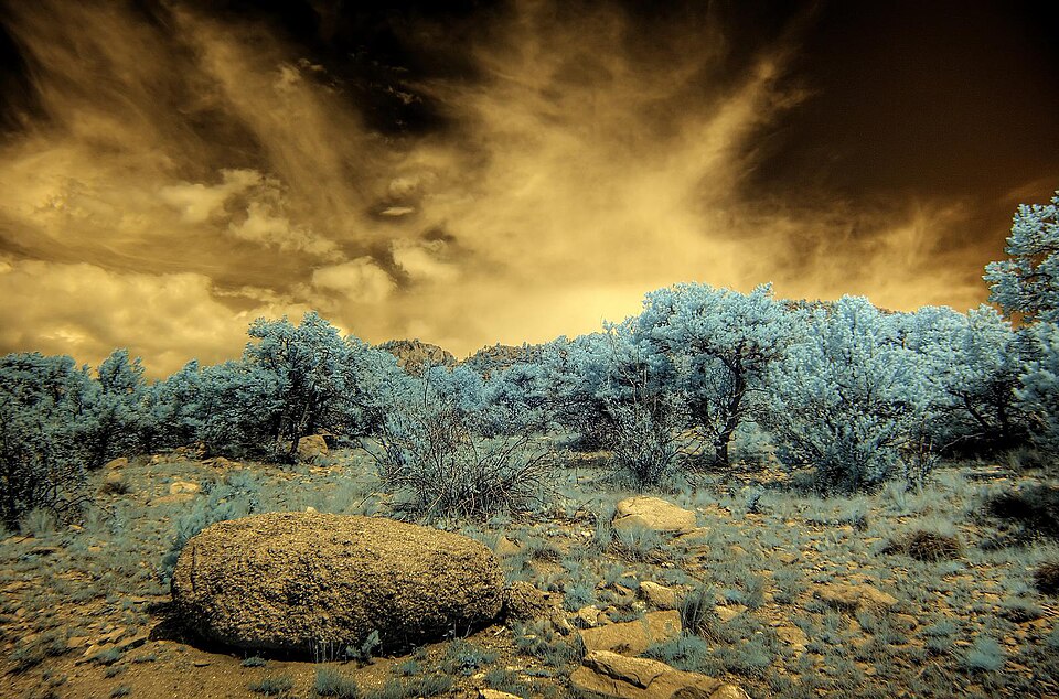 Infrared HDR Buena Vista Colorado (2812787832)