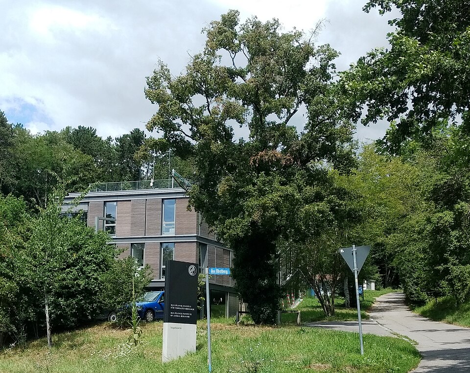 Max-Planck-Institut f&uuml;r Verhaltensbiologie
