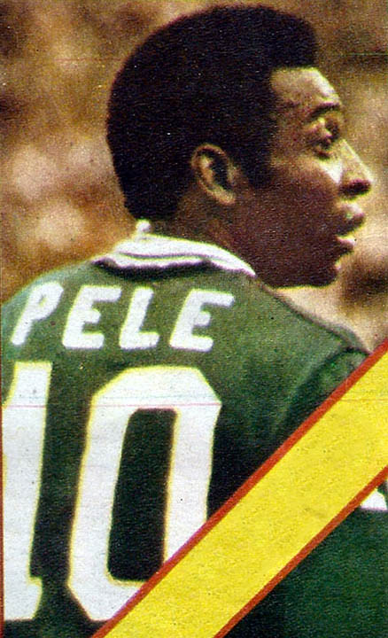 Pele libro elegido