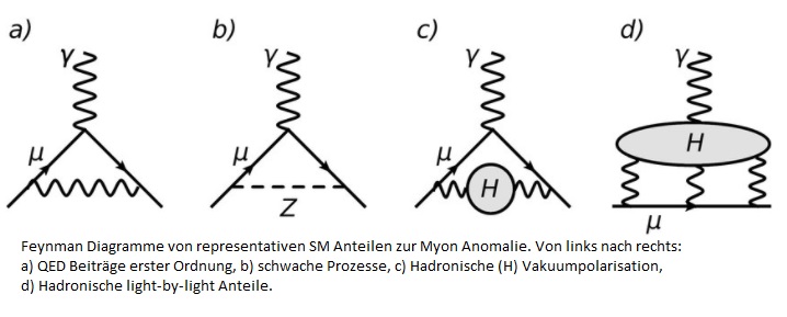 Feynman Diagramme Muon Anomalie