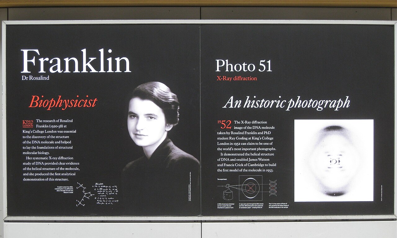 Dr Rosalind Franklin and Photo 51 - geograph.org.uk - 3258777