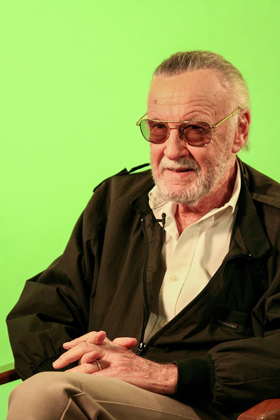 Stan Lee (45800980512)