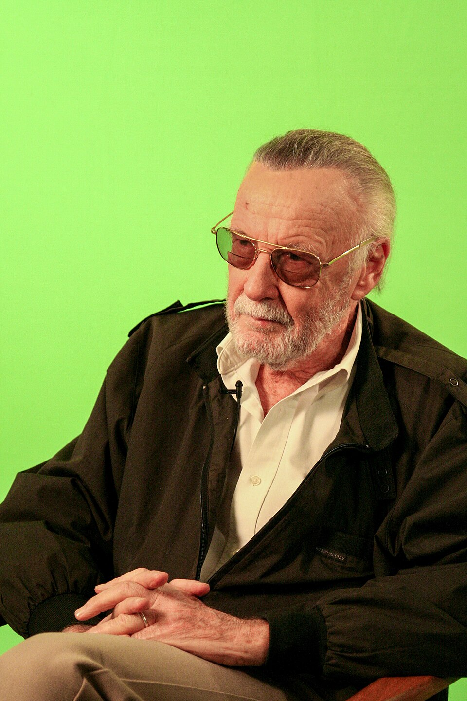 Stan Lee (31979025418)