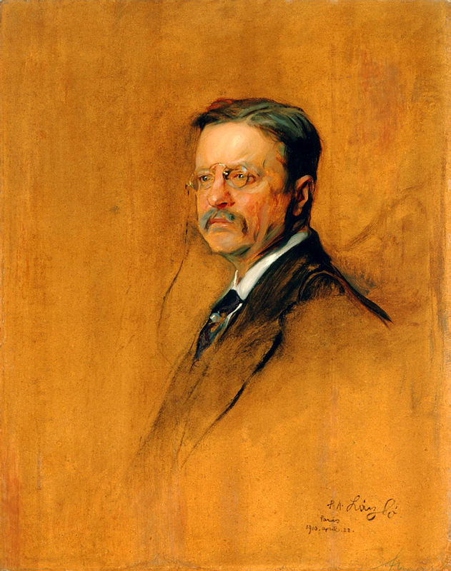 Theodore Roosevelt, by F&uuml;l&ouml;p L&aacute;szl&oacute;