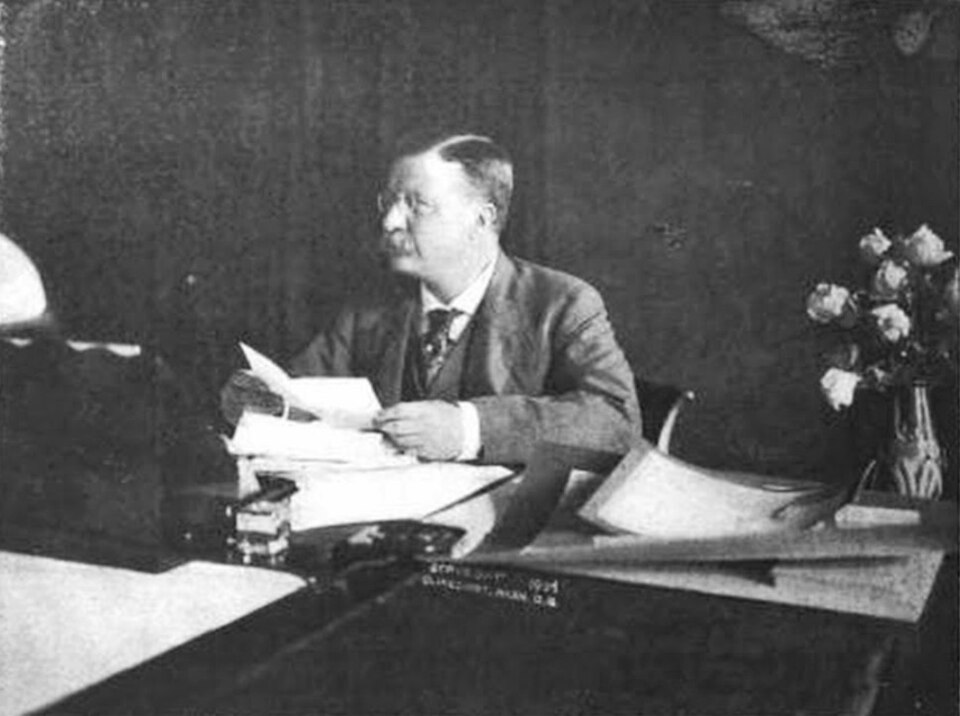 Theodore Roosevelt, Sitting