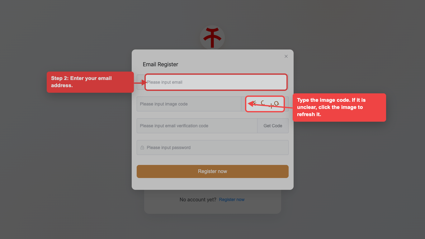 Enter your email and image code